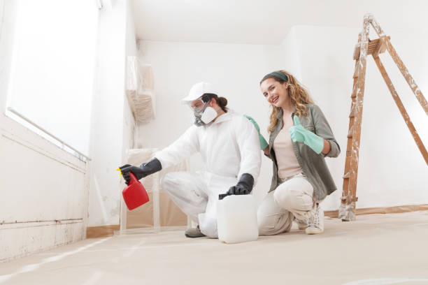 Best HVAC Mold Inspection and Cleaning  in Woodville, CA